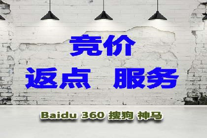 SEM竞价代运营公司成功案例分析
